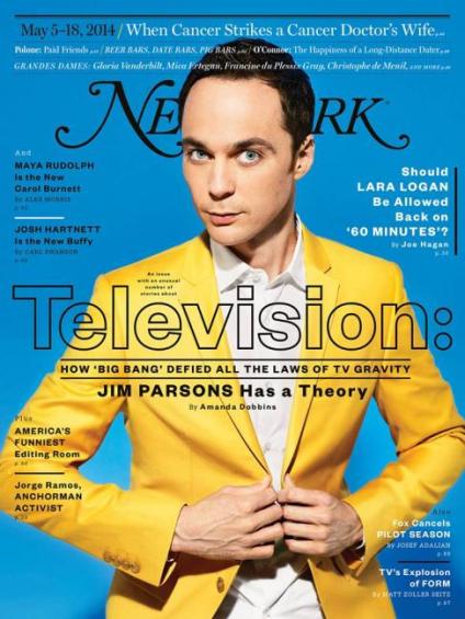 NY Mag TV Issue