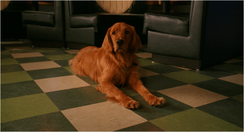 Pushing Daisies Digby