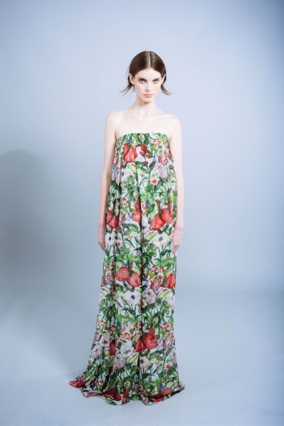 Rachel Antonoff maxi dress