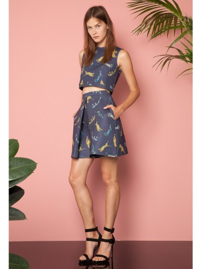 Amira crop top and skirt